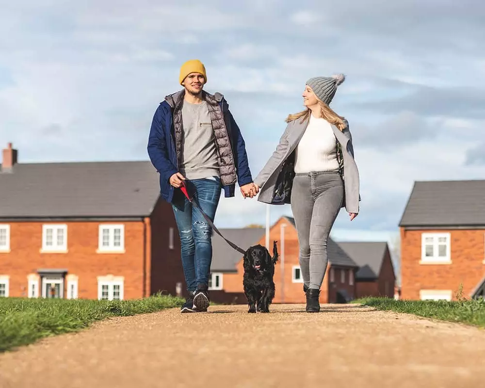 EU Settlement Scheme (EUSS) 3 EU Settlement Scheme (EUSS)